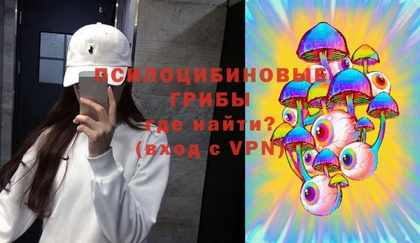 спиды Белокуриха