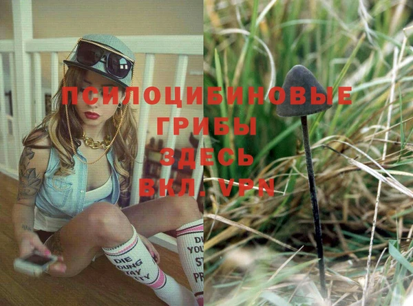 спиды Белокуриха