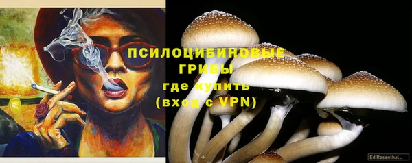 спиды Белокуриха