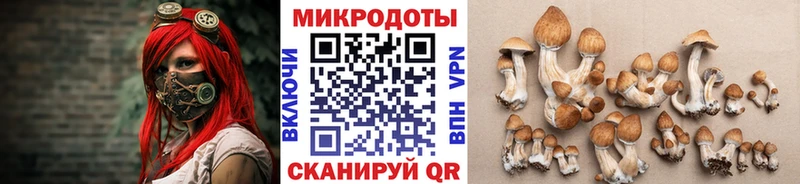 Псилоцибиновые грибы ЛСД  закладка  Озёрск 